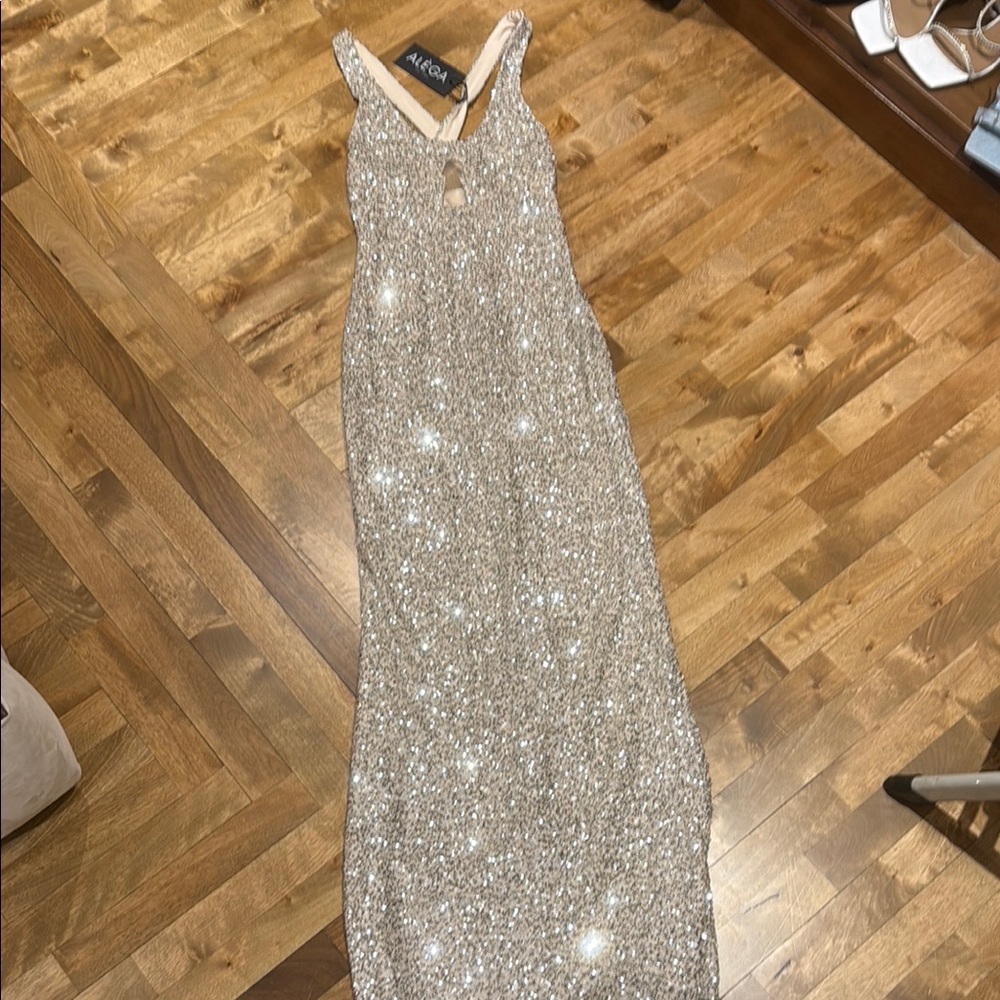 Elegant Silver Maxi Dress NEW WITH TAG